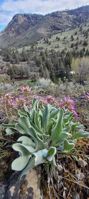 Chukar Park Recreation Site Picture 4