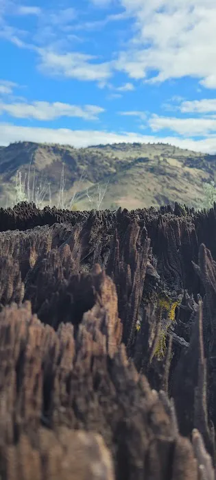 Chukar Park Recreation Site Picture 10