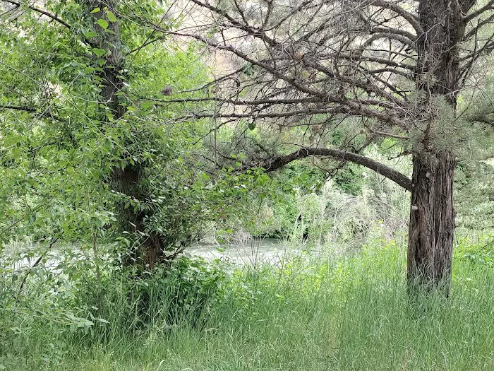 Chukar Park Recreation Site Picture 9