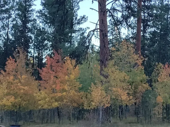 Rock Springs Campground Picture 1