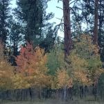 Rock Springs Campground