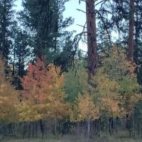 Rock Springs Campground ico