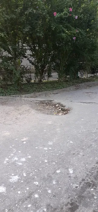 Eastwood Hills Picture 5