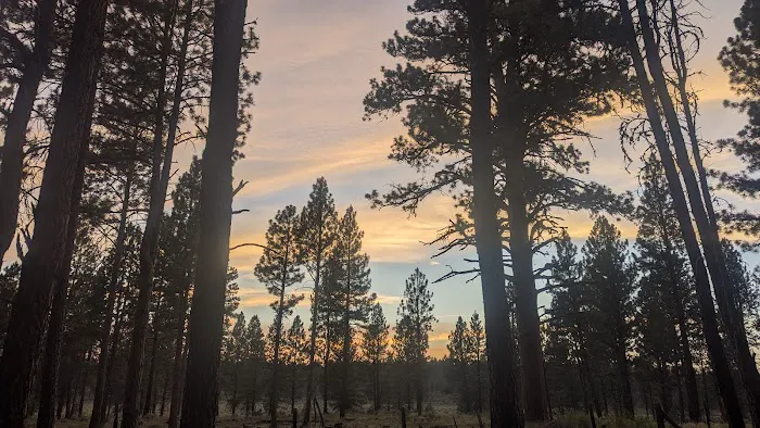 Joaquin Miller Horse Camp Picture 1