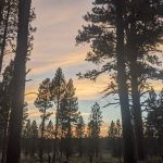 Joaquin Miller Horse Camp