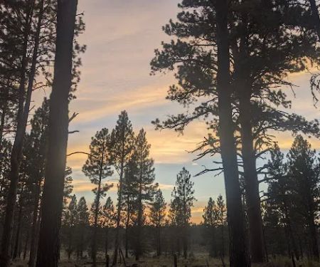 Joaquin Miller Horse Camp
