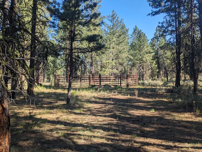 Joaquin Miller Horse Camp Picture 4