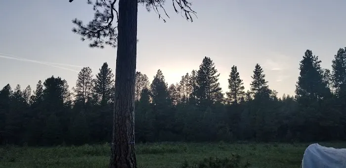 Idlewild Campground Picture 10