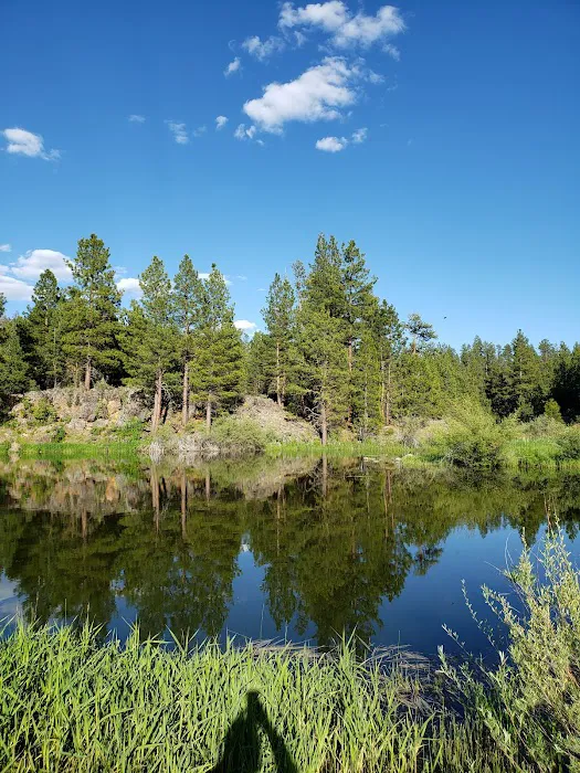 Yellowjacket Campground Picture 2