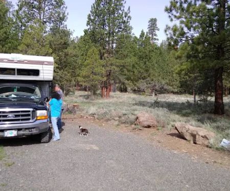 Yellowjacket Campground