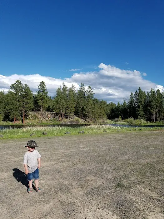 Yellowjacket Campground Picture 5