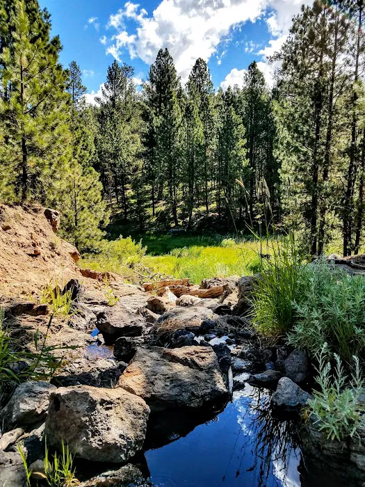 Yellowjacket Campground Picture 4