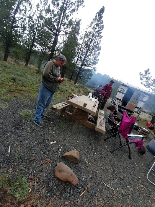 Yellowjacket Campground Picture 9