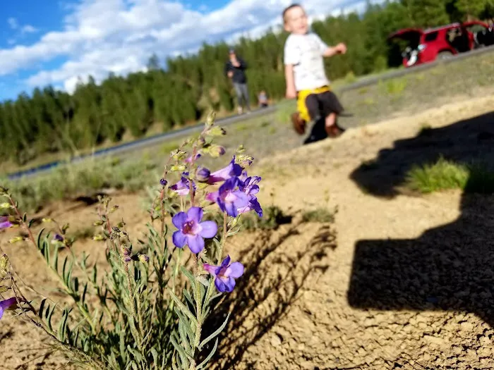 Yellowjacket Campground Picture 10