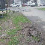 2006 Wares AL Llc Cw Annie