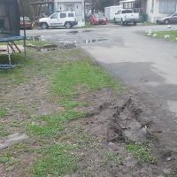 2006 Wares AL Llc Cw Annie ico