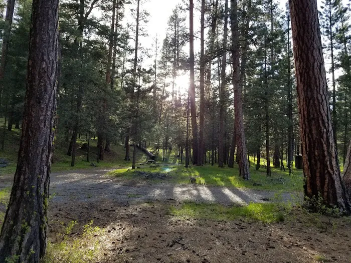 Emigrant Campground Picture 3