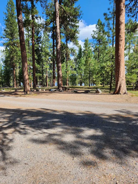 Delintment Lake Campground Picture 2