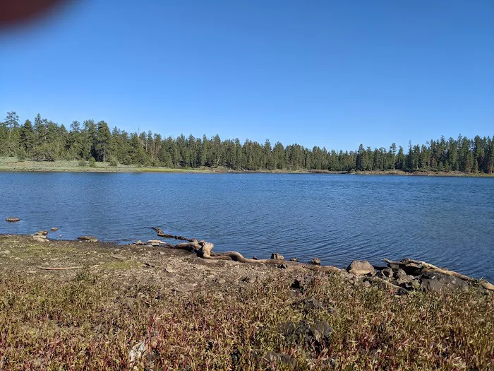 Delintment Lake Campground Picture 1