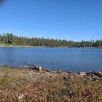 Delintment Lake Campground