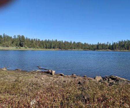 Delintment Lake Campground