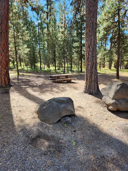 Delintment Lake Campground Picture 9