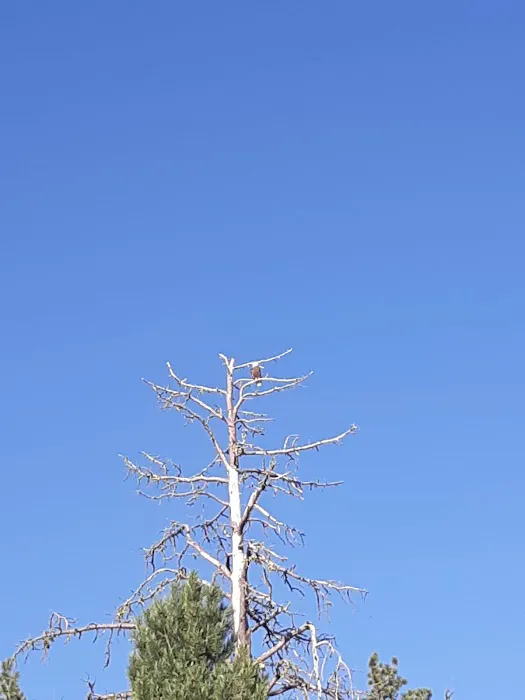 Delintment Lake Campground Picture 10