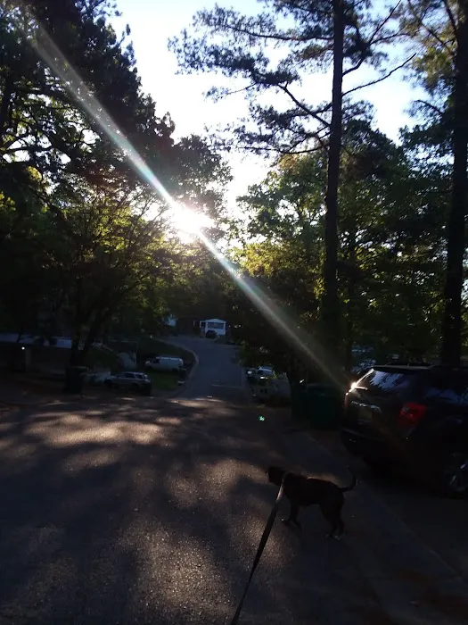 One Hundred Oaks Picture 5