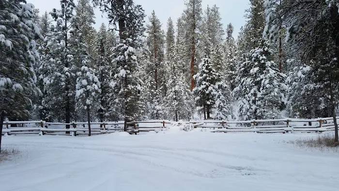 Buck Spring Campground Picture 3