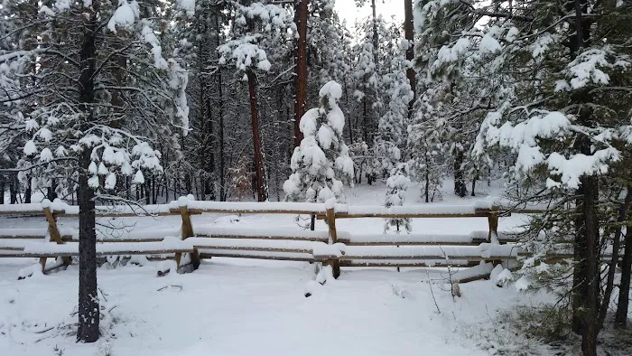 Buck Spring Campground Picture 6