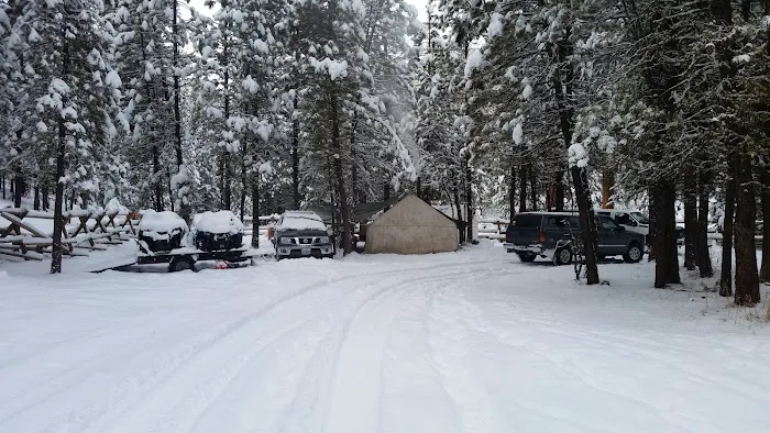 Buck Spring Campground Picture 4