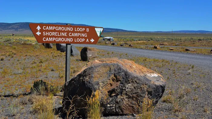 Chickahominy Recreation Site Picture 8