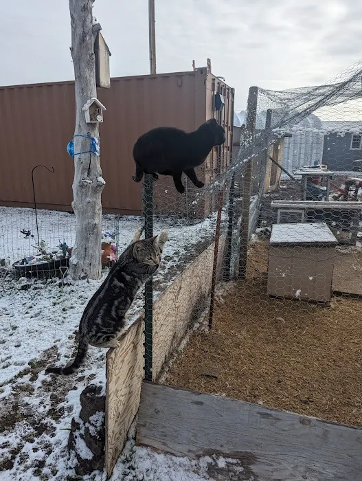 Captains Quarters Private Campground Picture 1