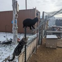 Captains Quarters Private Campground ico