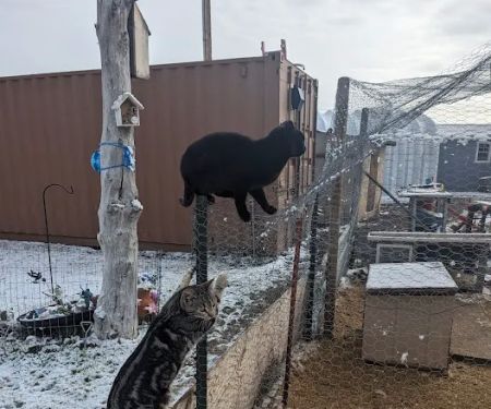 Captains Quarters Private Campground