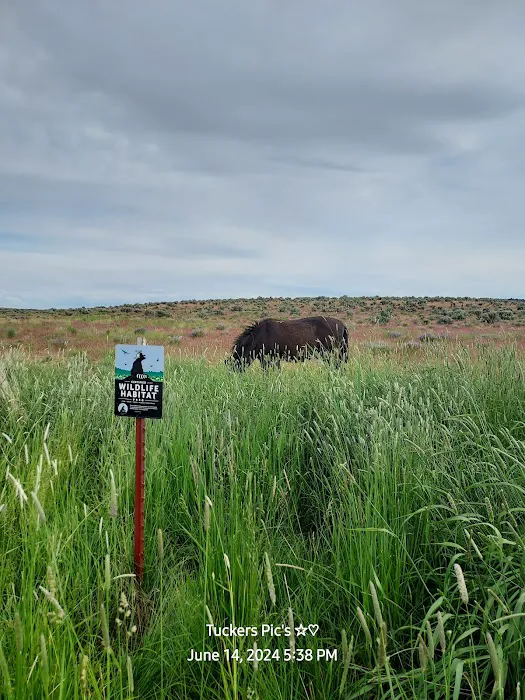 Captains Quarters Private Campground Picture 3