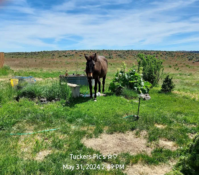 Captains Quarters Private Campground Picture 7