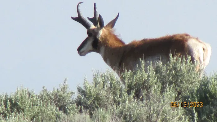 Captains Quarters Private Campground Picture 5