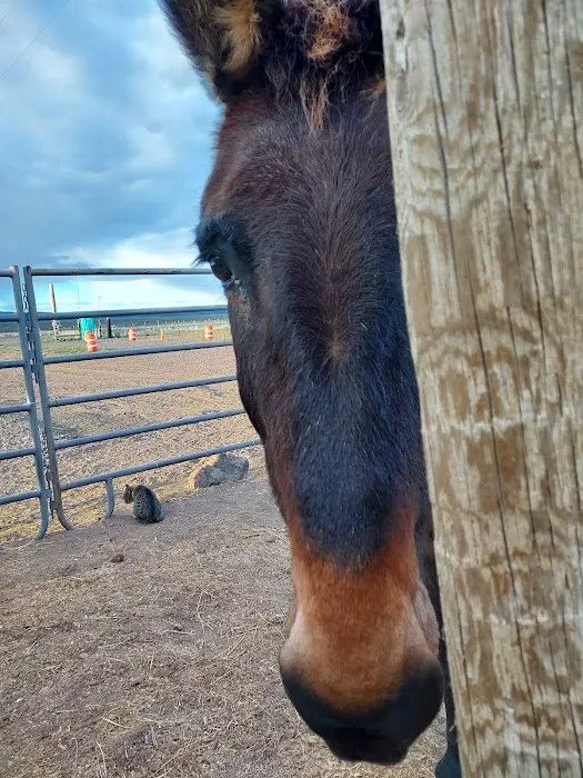 Captains Quarters Private Campground Picture 6