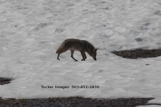 Captains Quarters Private Campground Picture 10