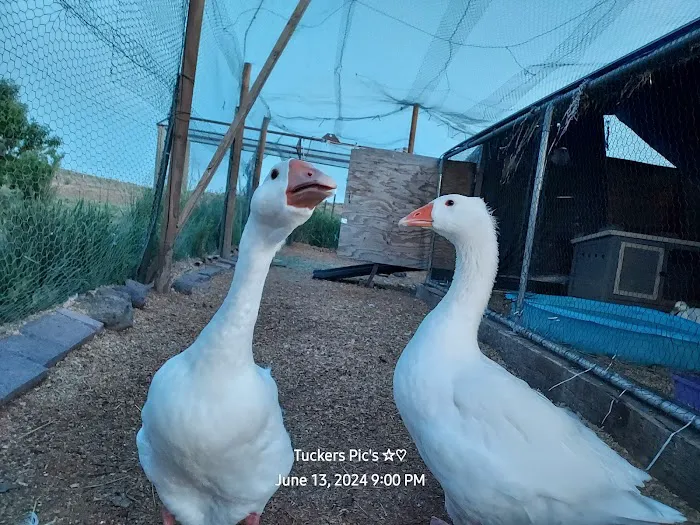 Captains Quarters Private Campground Picture 8