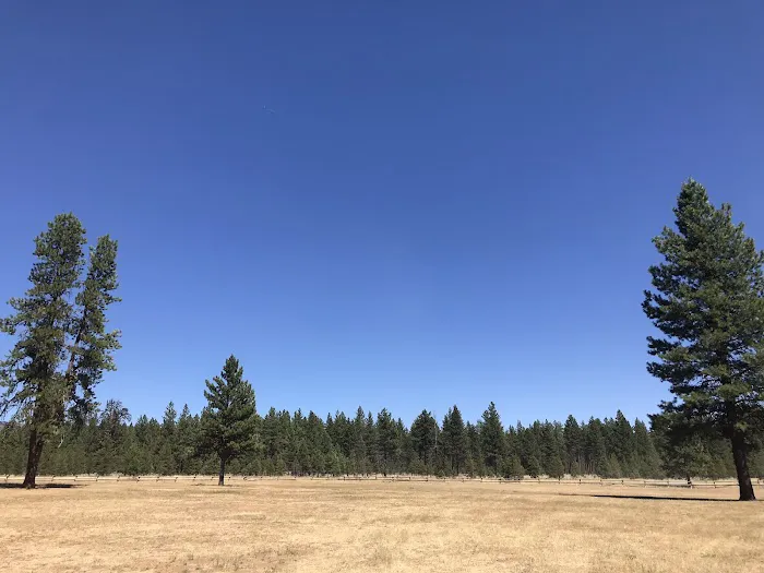 Lake Creek Youth Camp Picture 1