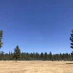 Lake Creek Youth Camp