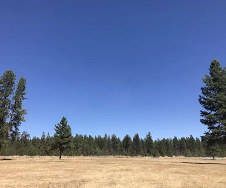 Lake Creek Youth Camp