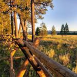 Big Creek Campground