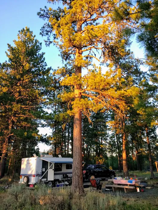 Big Creek Campground Picture 6
