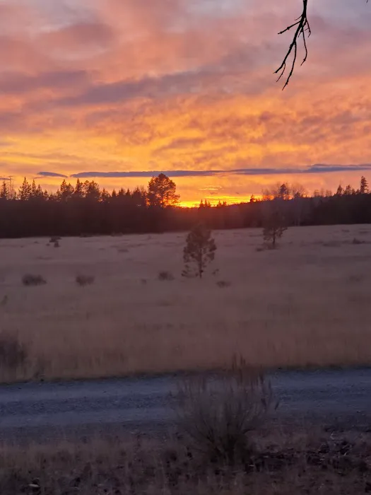 Big Creek Campground Picture 4