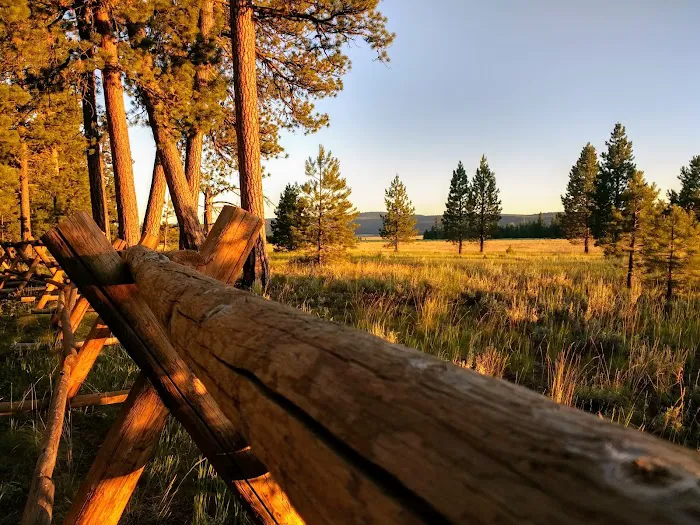 Big Creek Campground Picture 5