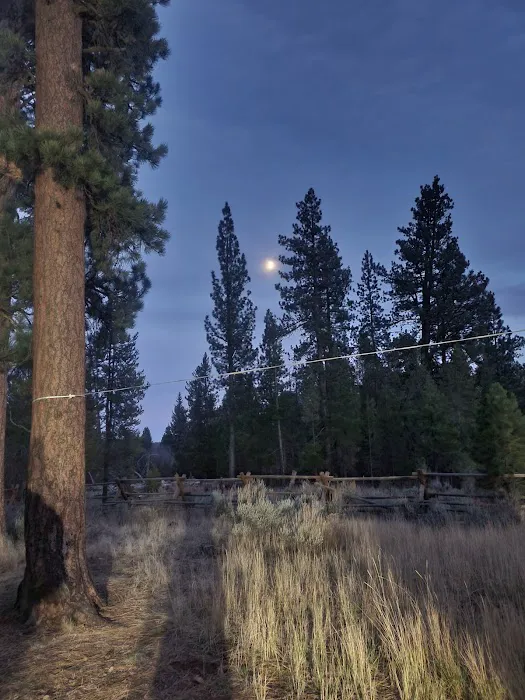 Big Creek Campground Picture 7