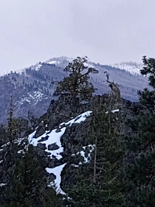 Parish Cabin Campground Picture 2